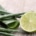 rosi troll kosmetikbehandlung mit aloe vera